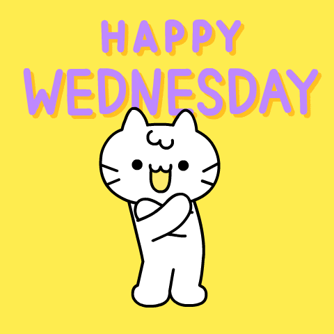 White Cat Happy Dance GIF by Mikitti