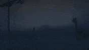 Prepare Yourself Here It Comes GIF by Assassin's Creed