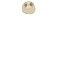 GreedyPnut coming sloth greedypnut 樹懶王 Sticker