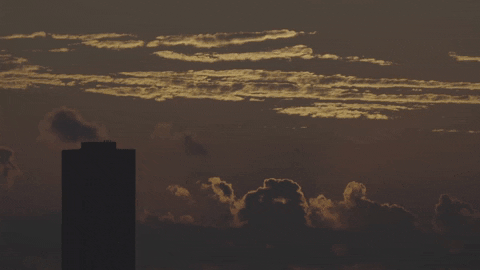 Climate Change Vocabulary GIF by DIIMSA Stock