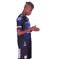 Del Valle Love Sticker by INDEPENDIENTE DEL VALLE