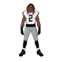 Las Vegas Raiders Football Sticker by Panini America