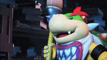 Video Games Nintendo GIF