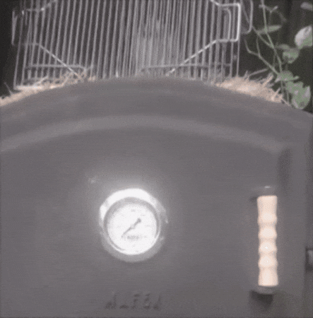 GIF animado