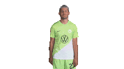 Three Points Win Sticker by VfL Wolfsburg