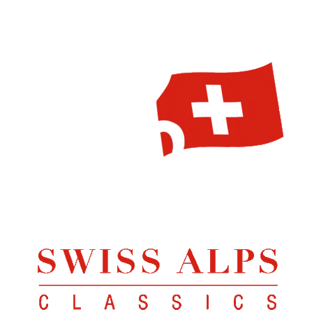 Swiss Alps Festival Sticker by MatchMaker Events