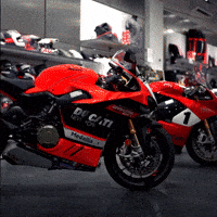 Motorcycles GIF by Gotham Ducati Desmo Owners Club