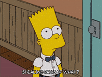 bart simpson episode 21 GIF