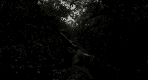 jon favreau disney GIF by Disney's The Jungle Book