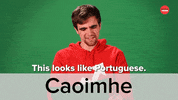 Luck Of The Irish Ireland GIF by BuzzFeed