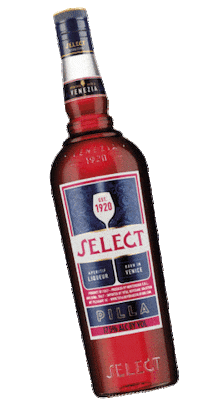 Drink Cheers Sticker by SelectAperitivo