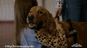 Christmas Love GIF by Hallmark Mystery