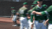 EMUAthletics emueagles emuathletics emubaseball GIF