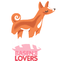 Dog Basenji Sticker