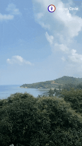 GIF by Learner Circle