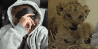 Violeta Hodar GIF