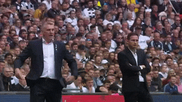 AstonVillaFC happy sports football sport GIF