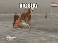 Winter Horse GIF by Fries Film & Audio Archief