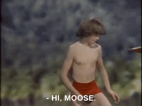 you cant do that on television nicksplat GIF