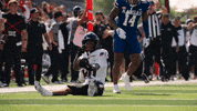 Cincinnati Football GIF by Cincinnati Bearcats