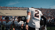 Cincinnati Football GIF by Cincinnati Bearcats