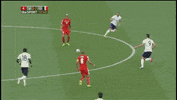 france world GIF