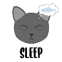 fluffybydesign cat sleep eat routine Sticker