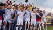 South Carolina Chs GIF by Charleston Battery