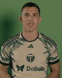 Mls Construction GIF by Timbers