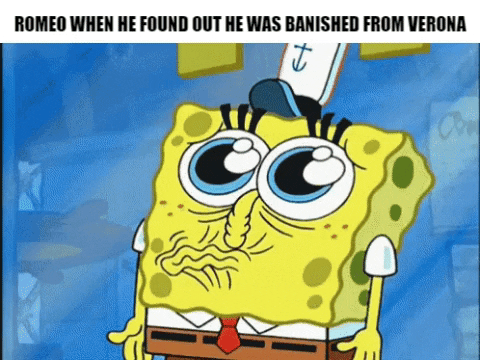 Nazertazer giphygifmaker giphyattribution seneca senecalearning GIF