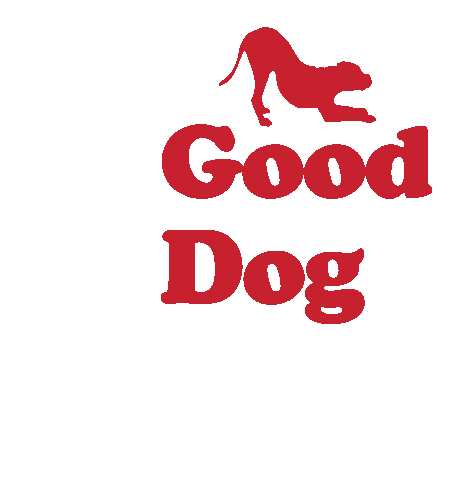 Dogs Puppies Sticker by SchoolForTheDogs