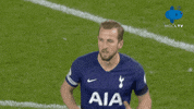 Norwichcity GIF by MolaTV