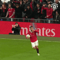 Sport Soccer GIF by Manchester United