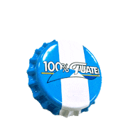 festival sticker by Cerveza Gallo