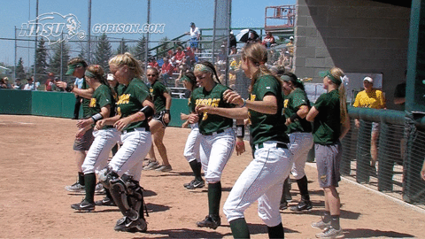north dakota state bison GIF by NDSU Athletics