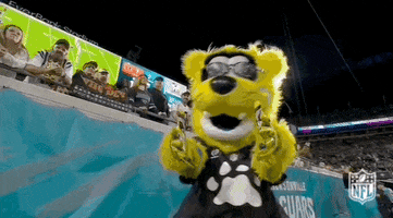 National Football League GIF by NFL