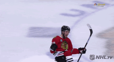 happy ice hockey GIF by NHL