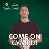 Sam Warburton Reaction GIF by PrincipalityBS