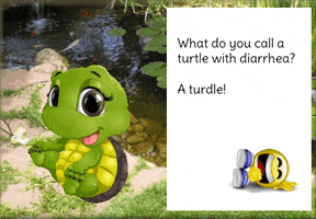 Turtle GIF