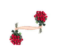 dillonfrancis love cute lol flowers Sticker