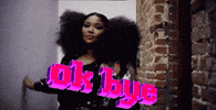 ok bye GIF