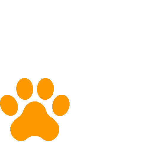 amazonpets giphyupload cat dog cats Sticker