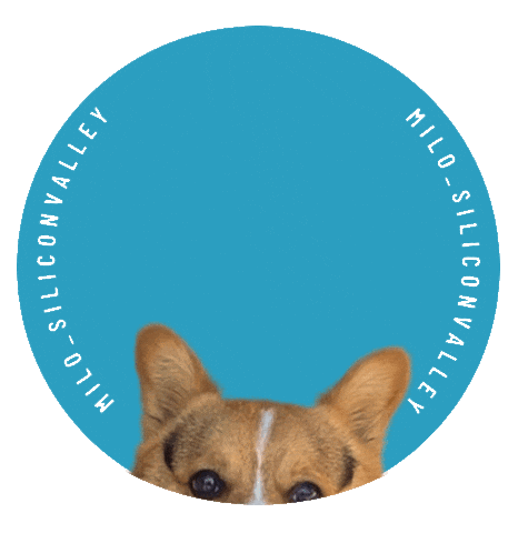 Corgi Milo Sticker