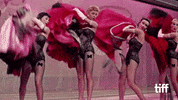 Marlon Brando Dance GIF by TIFF