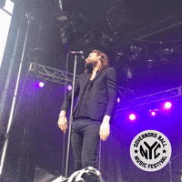 father john misty governors ball GIF by GOVBALL NYC