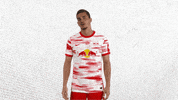 Oh My God Facepalm GIF by RB Leipzig