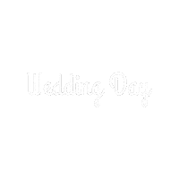 Wedding Photography Sticker by Baires Photobooth