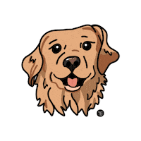 Dog Pet Sticker