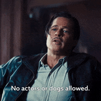 Brad Pitt Dogs GIF by Babylon
