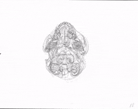moving real-time GIF by Alex Boya